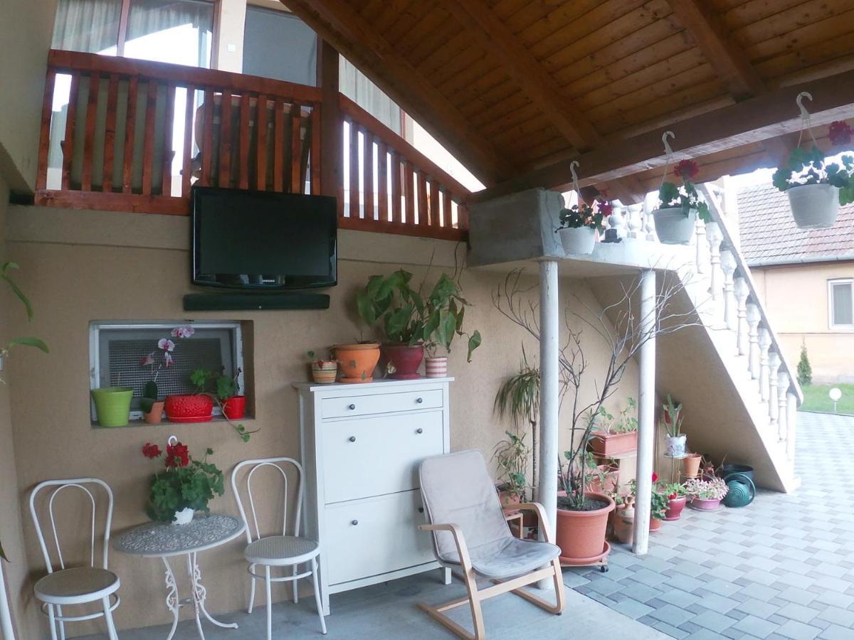 Casa Sannicolau Bed & Breakfast Sinnicolau Mare Exterior photo