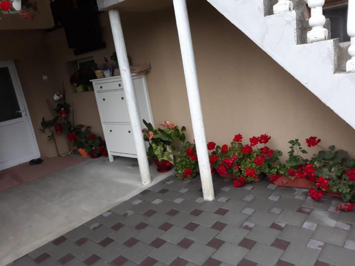 Casa Sannicolau Bed & Breakfast Sinnicolau Mare Exterior photo