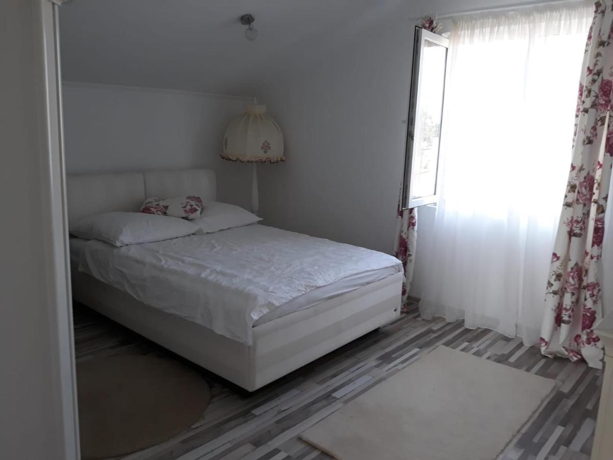 Casa Sannicolau Bed & Breakfast Sinnicolau Mare Exterior photo